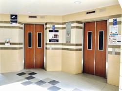 Blk 206 Tampines Street 21 (Tampines), HDB 3 Rooms #131113712